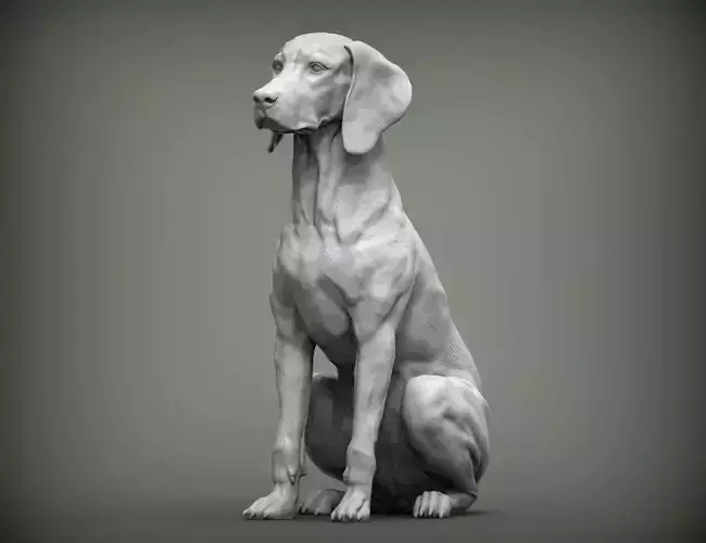 Hungarian vizsla  Hungarian Pointing Dog 3D print model