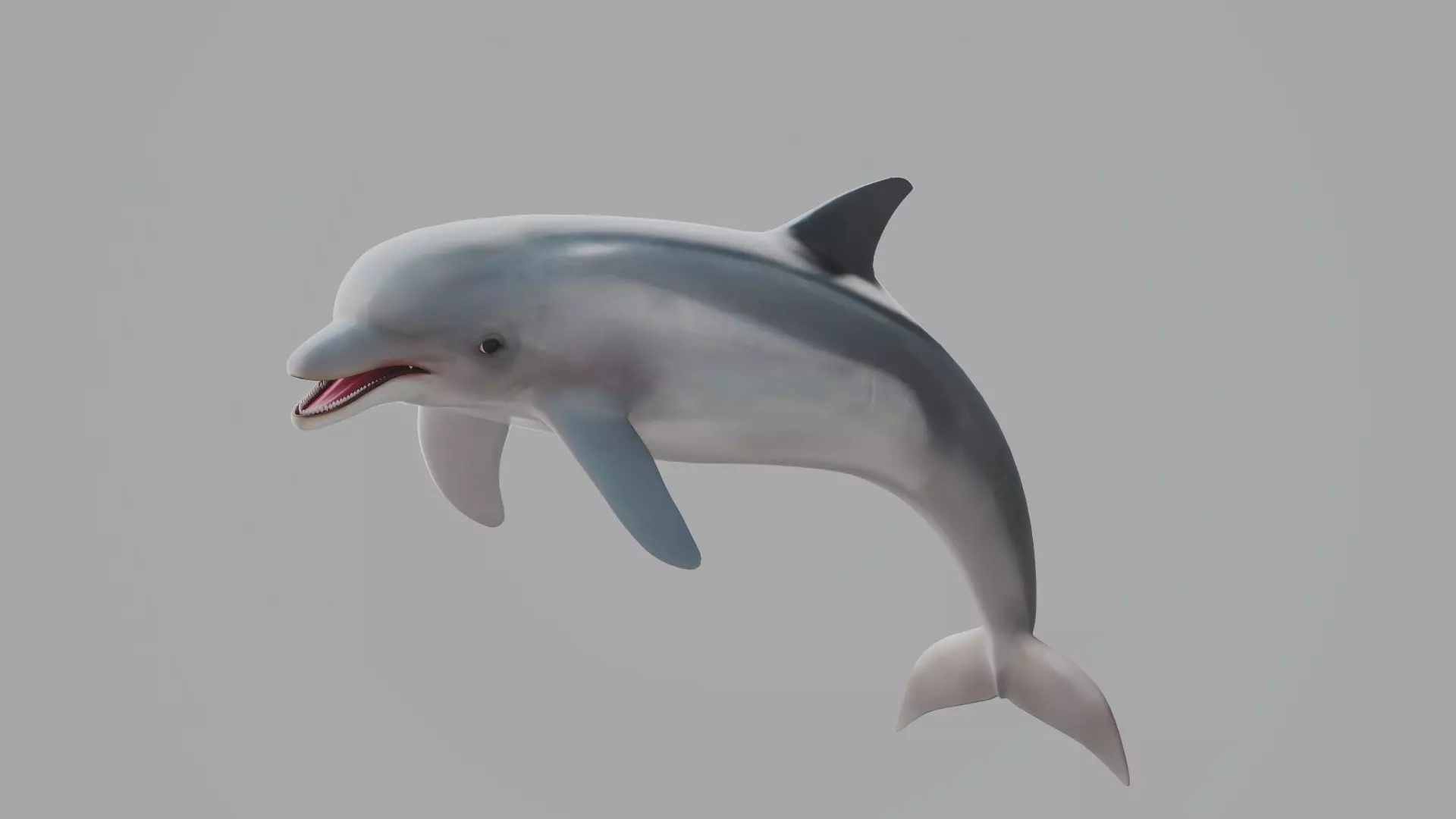 Dolphin Low-poly 3D model_0