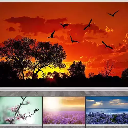 Photo Wallpaper No 19