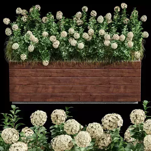 Outdoor Plant Set 001 Plant Box 3D model