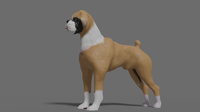 boxer dog Low-poly 3D model
