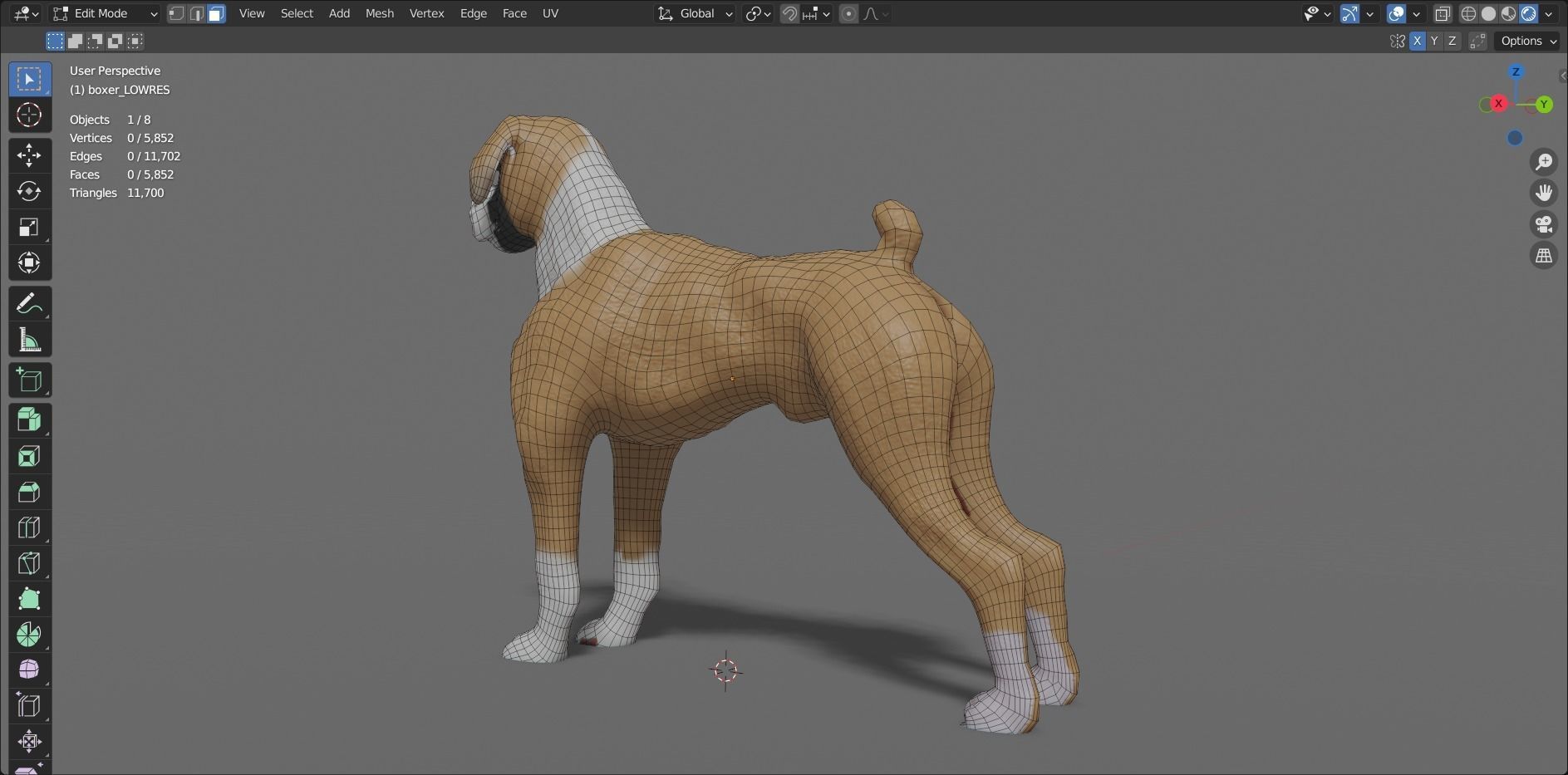 boxer dog Low-poly 3D model_16