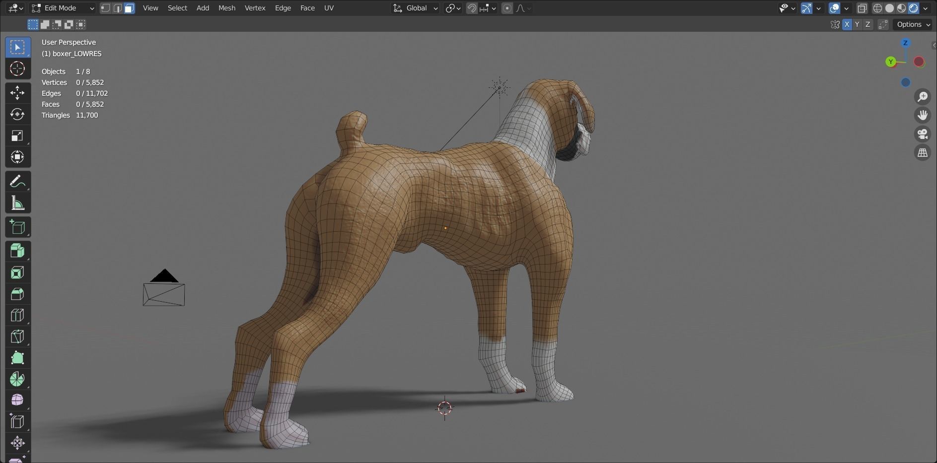 boxer dog Low-poly 3D model_12