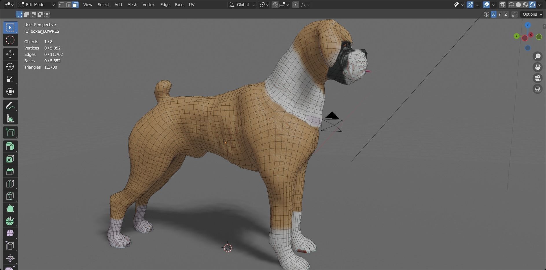 boxer dog Low-poly 3D model_14