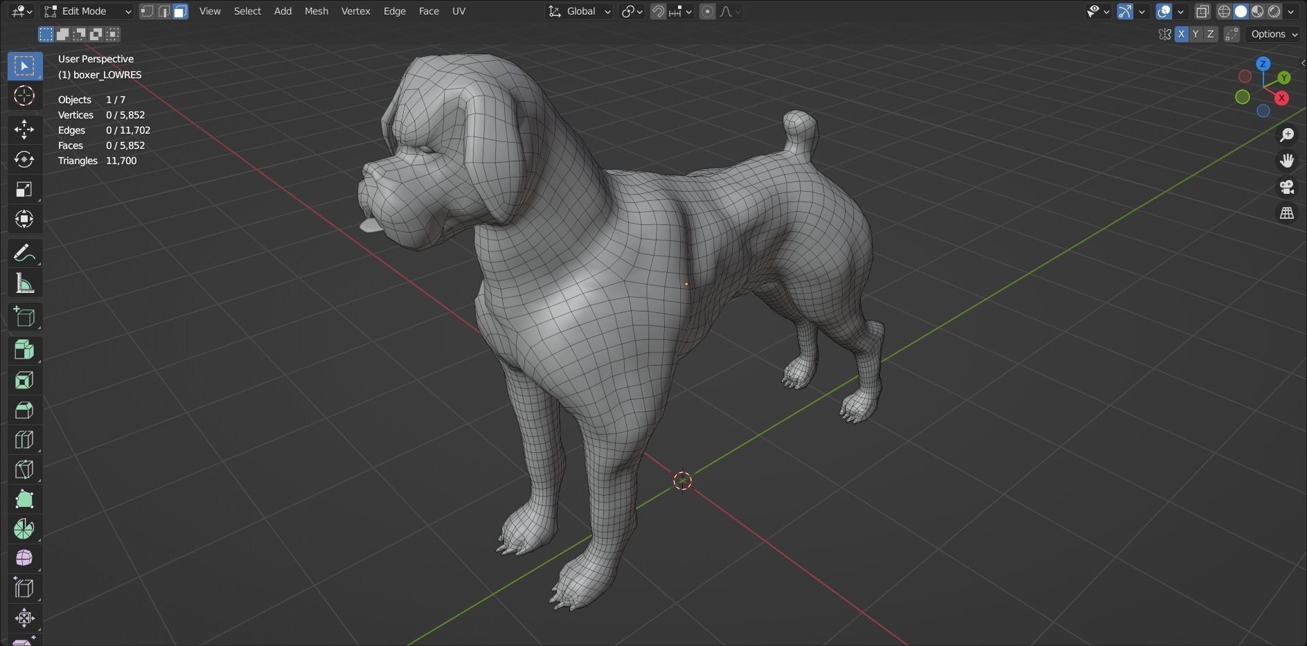boxer dog Low-poly 3D model_13