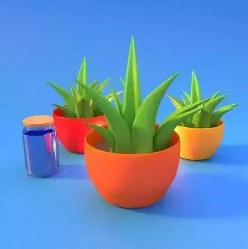 3D Aloe Vera Model Free low-poly 3D model
