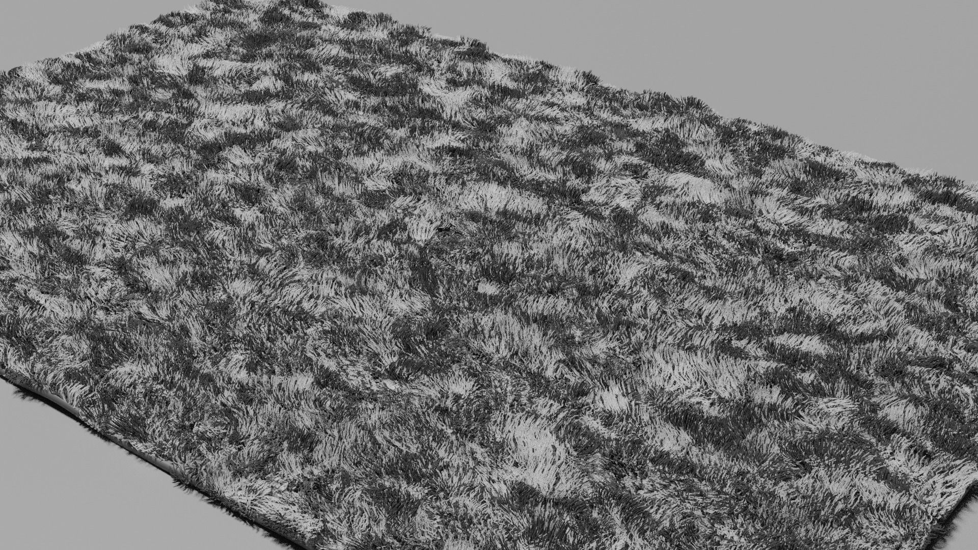 Shaggy Carpet 3D model_4