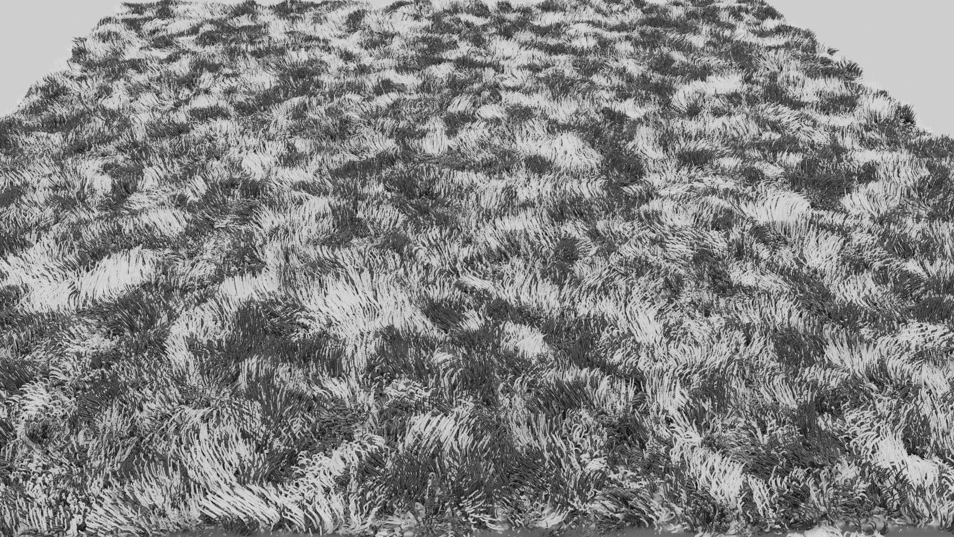 Shaggy Carpet 3D model_2