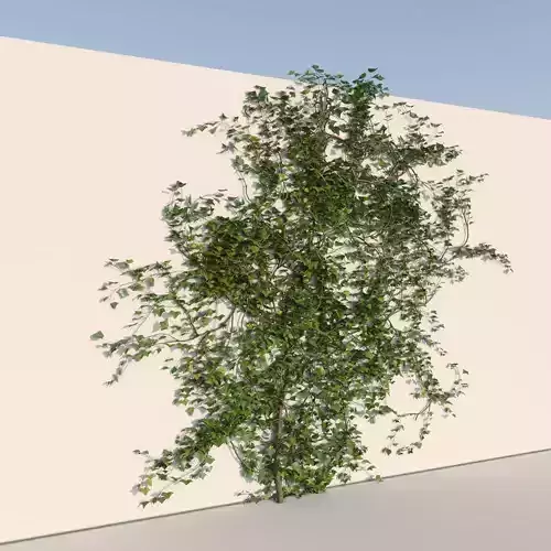 Realistic Climbing Ivy Small