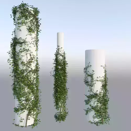 Realistic Climbing Ivy Column