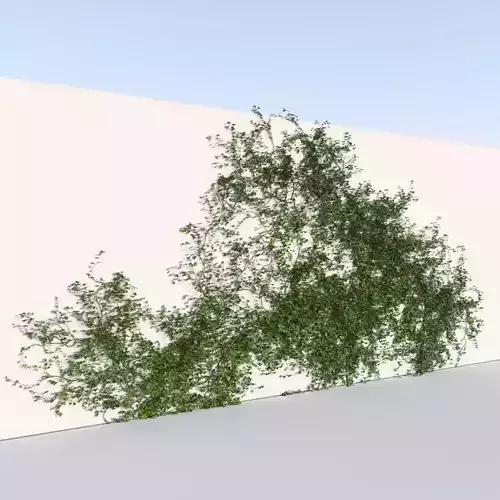 Realistic Climbing Ivy Large