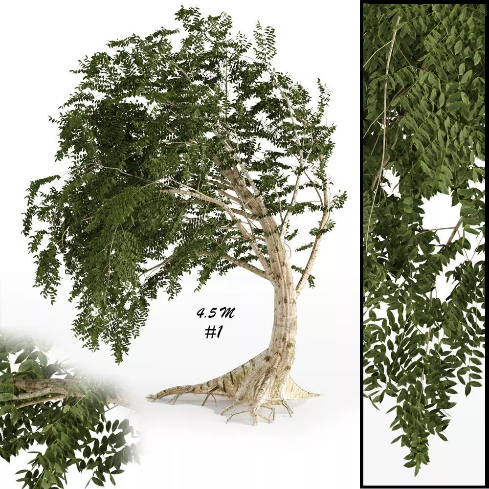 fantesy tree 3D model