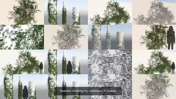 Realistic Climbing Ivy Collection