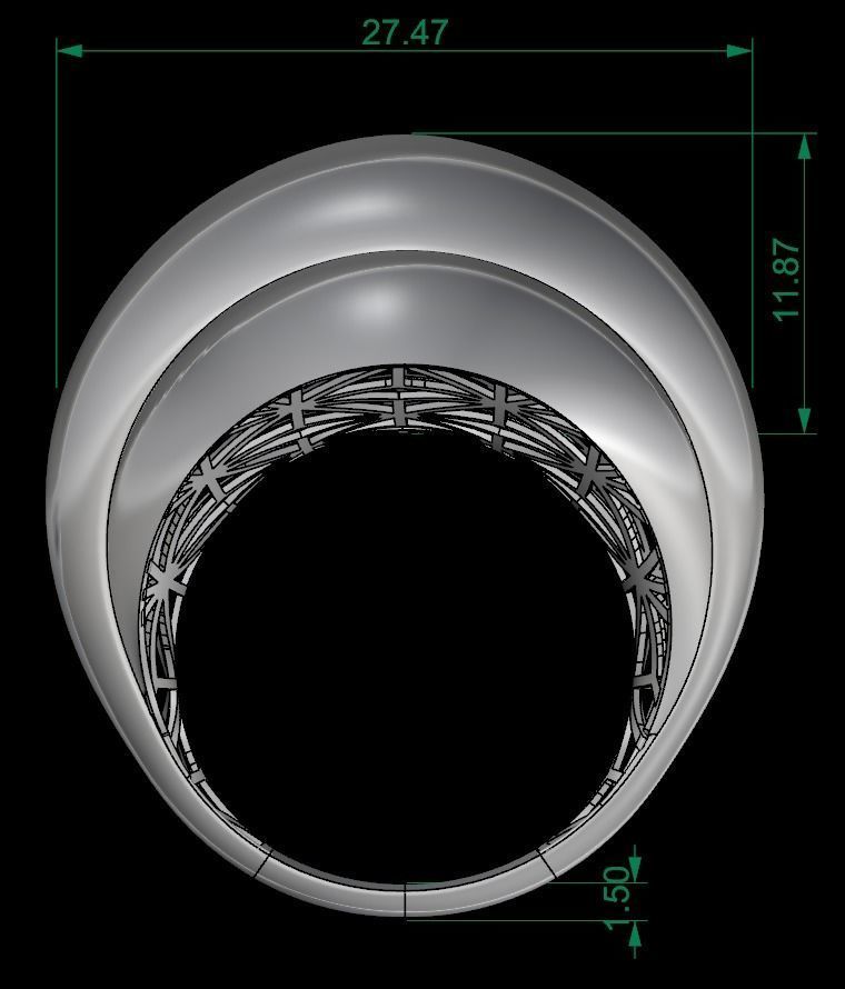 POLISHED FUSION RING-R24- 3D print model_3