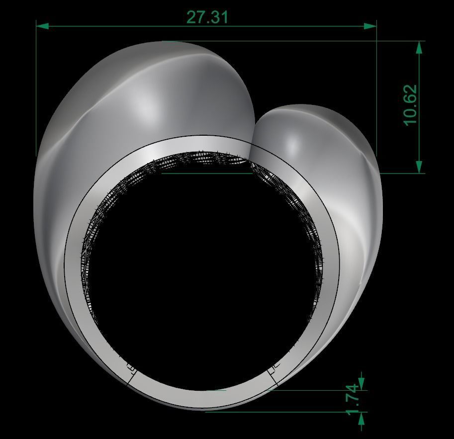 25 PCS POLISHED FUSION RING 3D print model_135