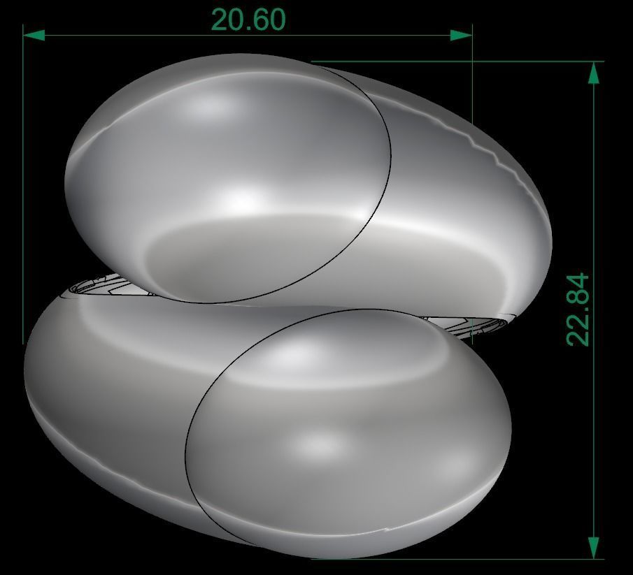 25 PCS POLISHED FUSION RING 3D print model_13