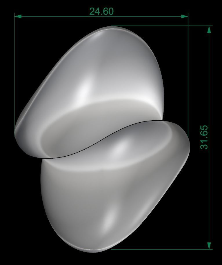 25 PCS POLISHED FUSION RING 3D print model_75