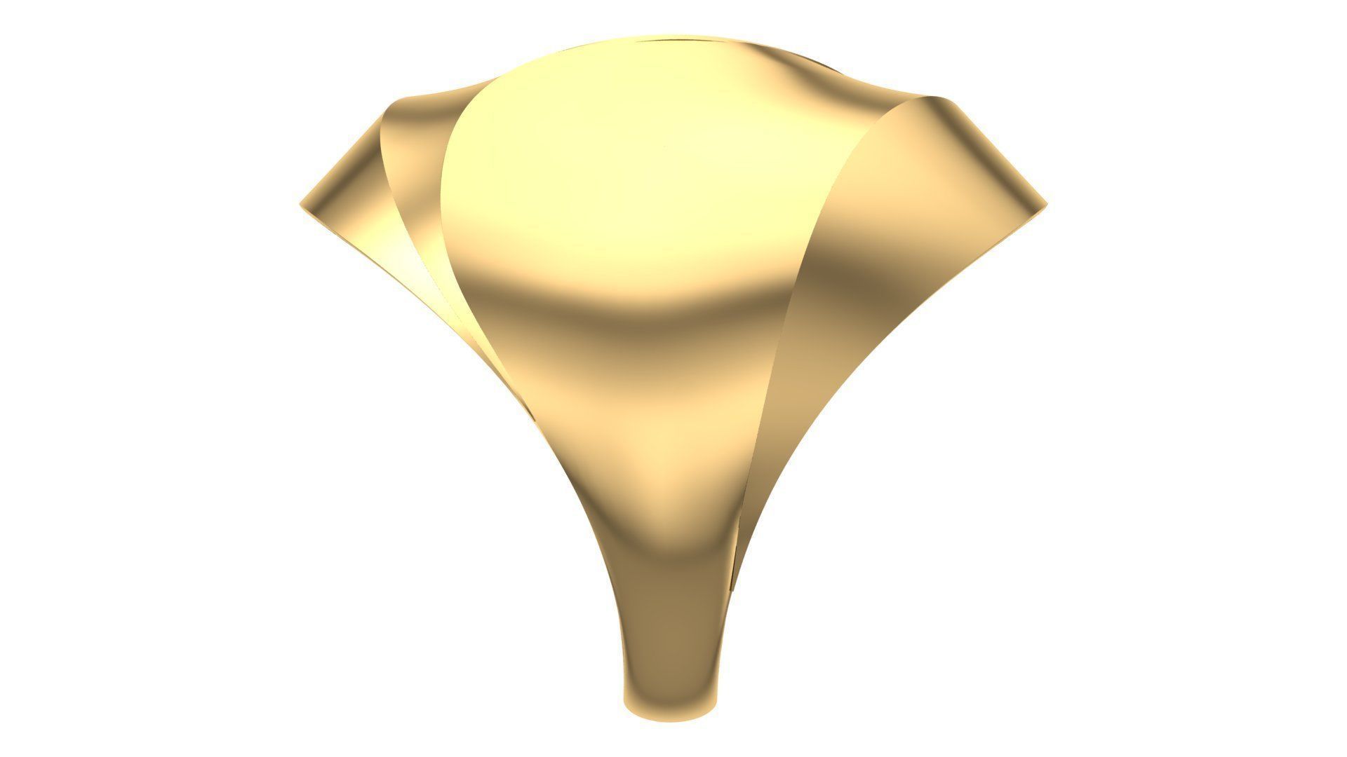 25 PCS POLISHED FUSION RING 3D print model_106