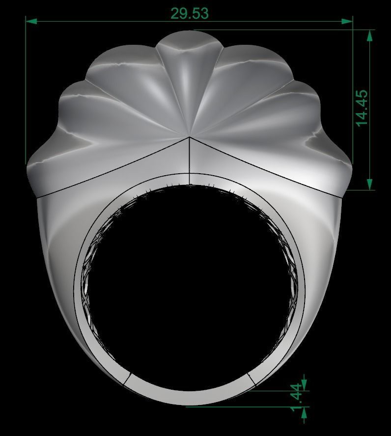25 PCS POLISHED FUSION RING 3D print model_52