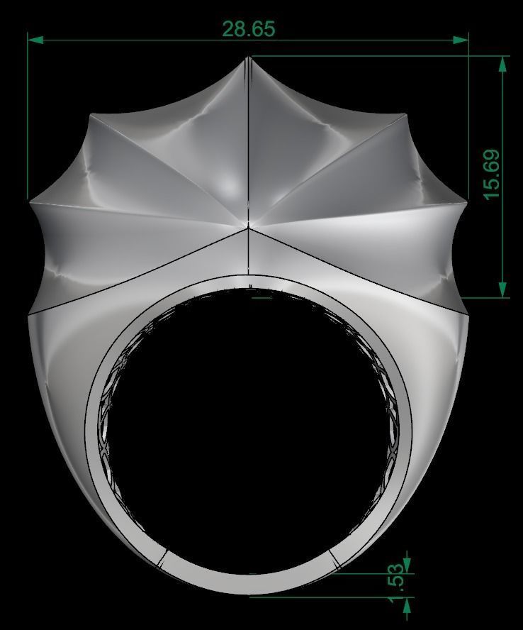 25 PCS POLISHED FUSION RING 3D print model_58