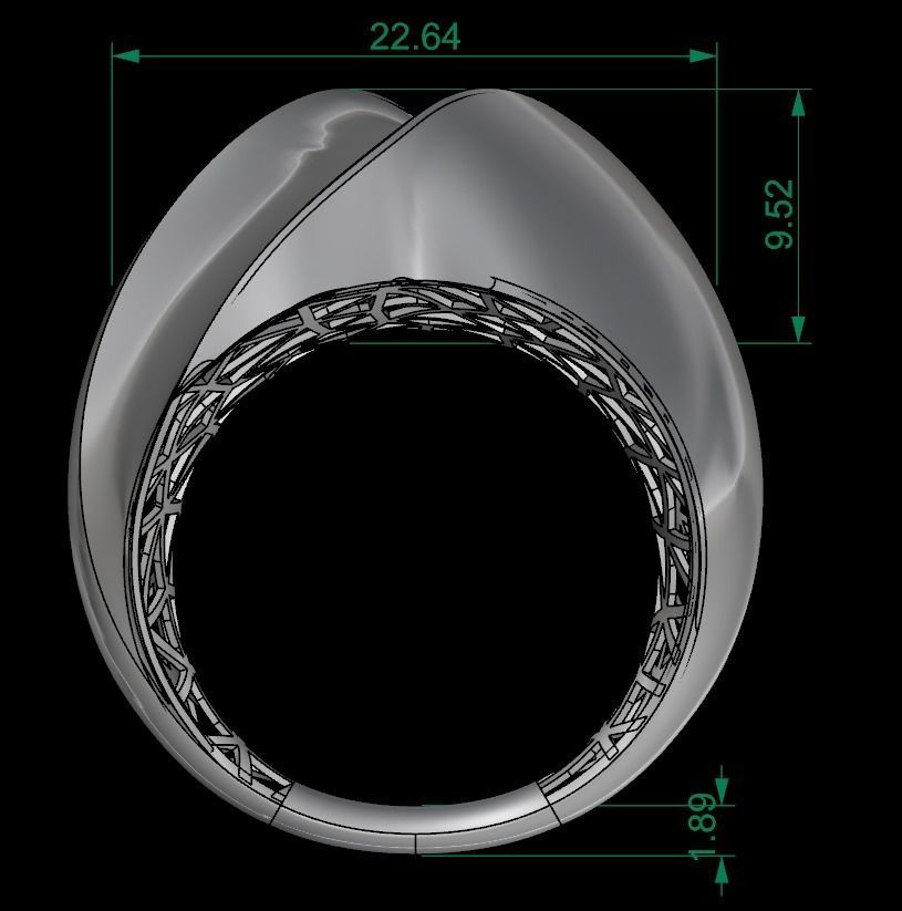 25 PCS POLISHED FUSION RING 3D print model_103