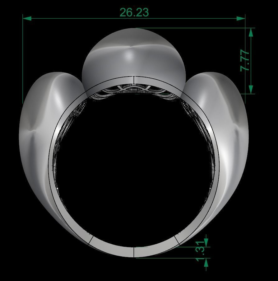 25 PCS POLISHED FUSION RING 3D print model_138