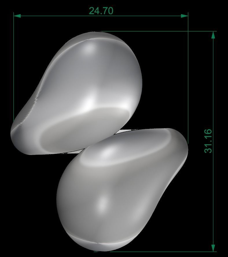 25 PCS POLISHED FUSION RING 3D print model_36