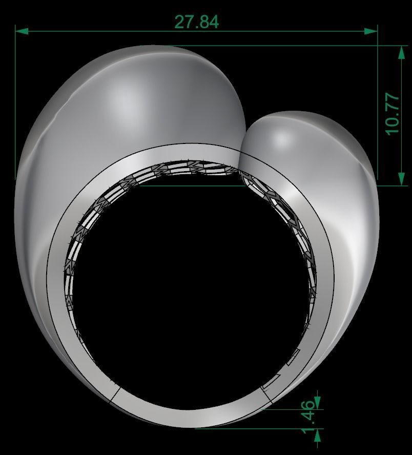 25 PCS POLISHED FUSION RING 3D print model_131