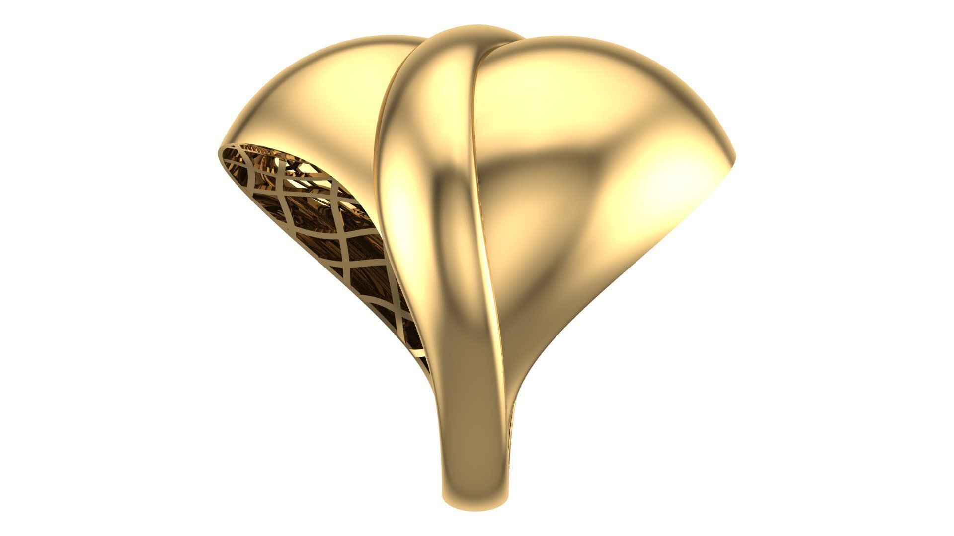 25 PCS POLISHED FUSION RING 3D print model_144