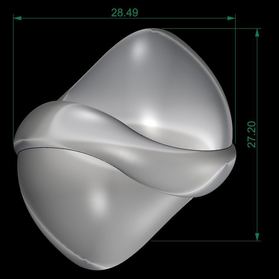 25 PCS POLISHED FUSION RING 3D print model_149