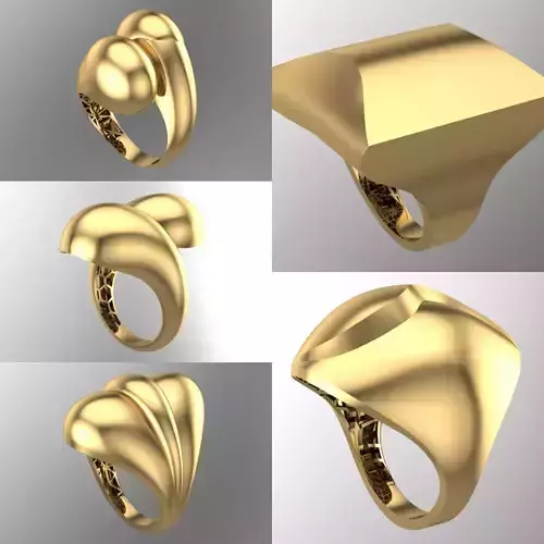 25 PCS POLISHED FUSION RING 3D print model