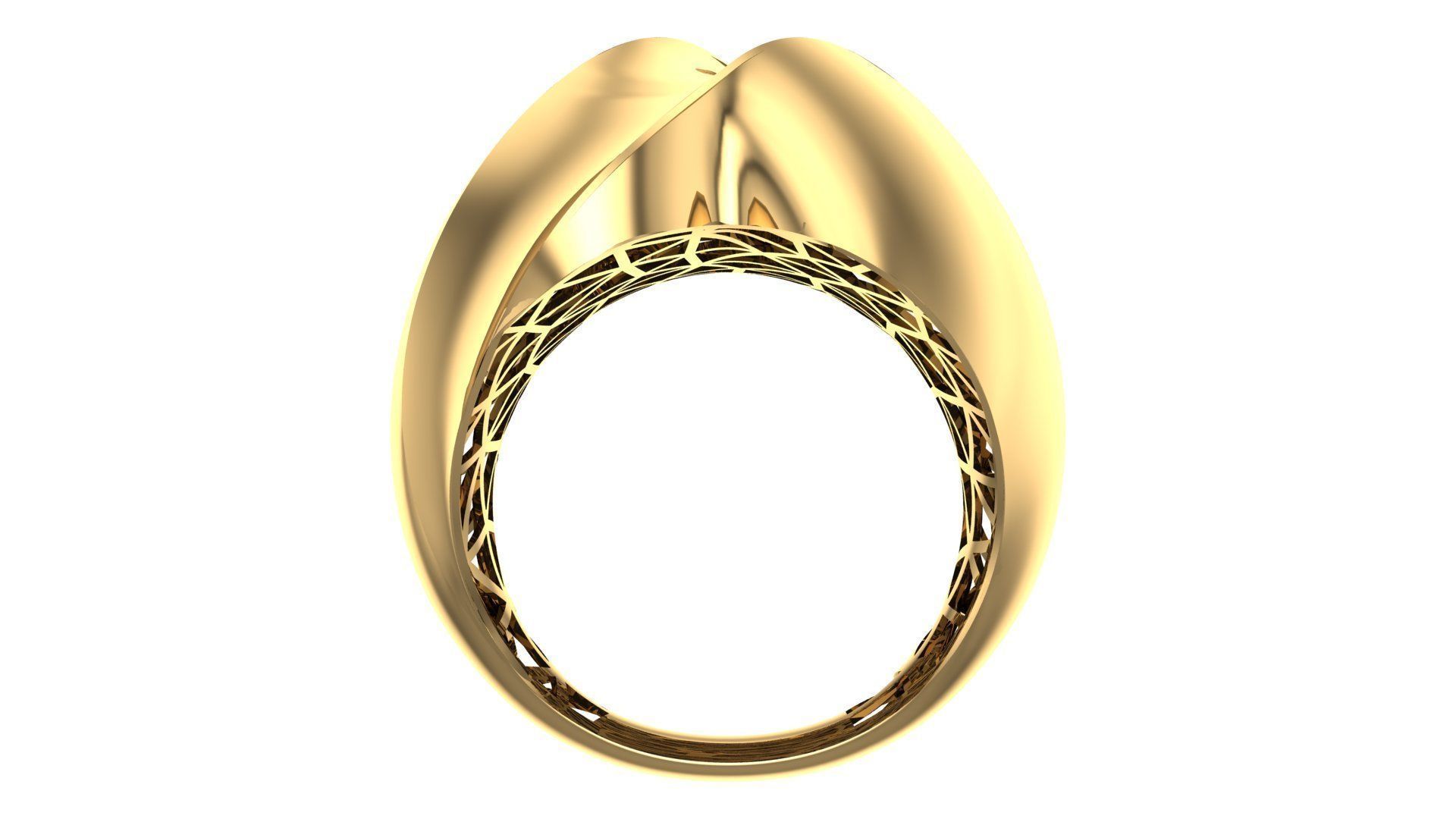 25 PCS POLISHED FUSION RING 3D print model_100