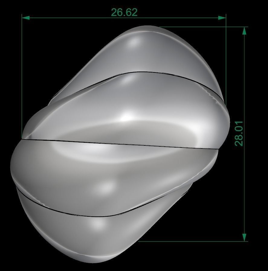 25 PCS POLISHED FUSION RING 3D print model_96
