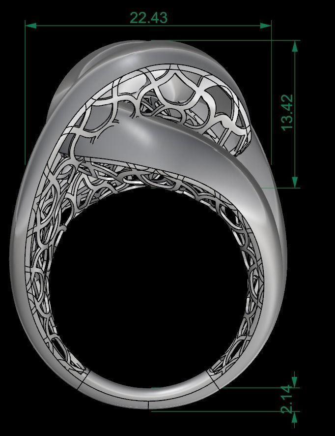 25 PCS POLISHED FUSION RING 3D print model_51