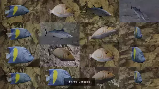 Fishes fish in virtual world