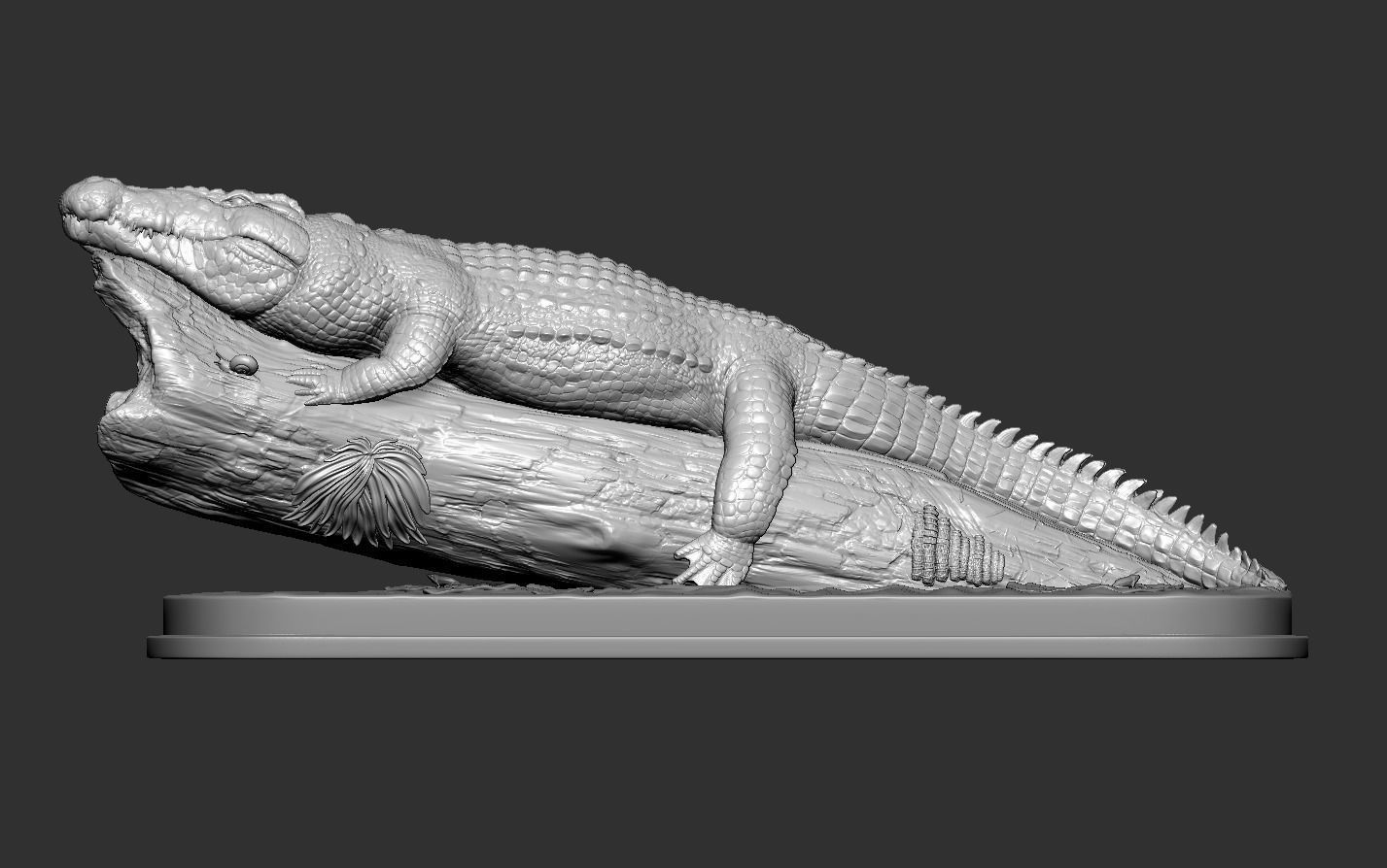 Crocodile in Tree 3D print model_12