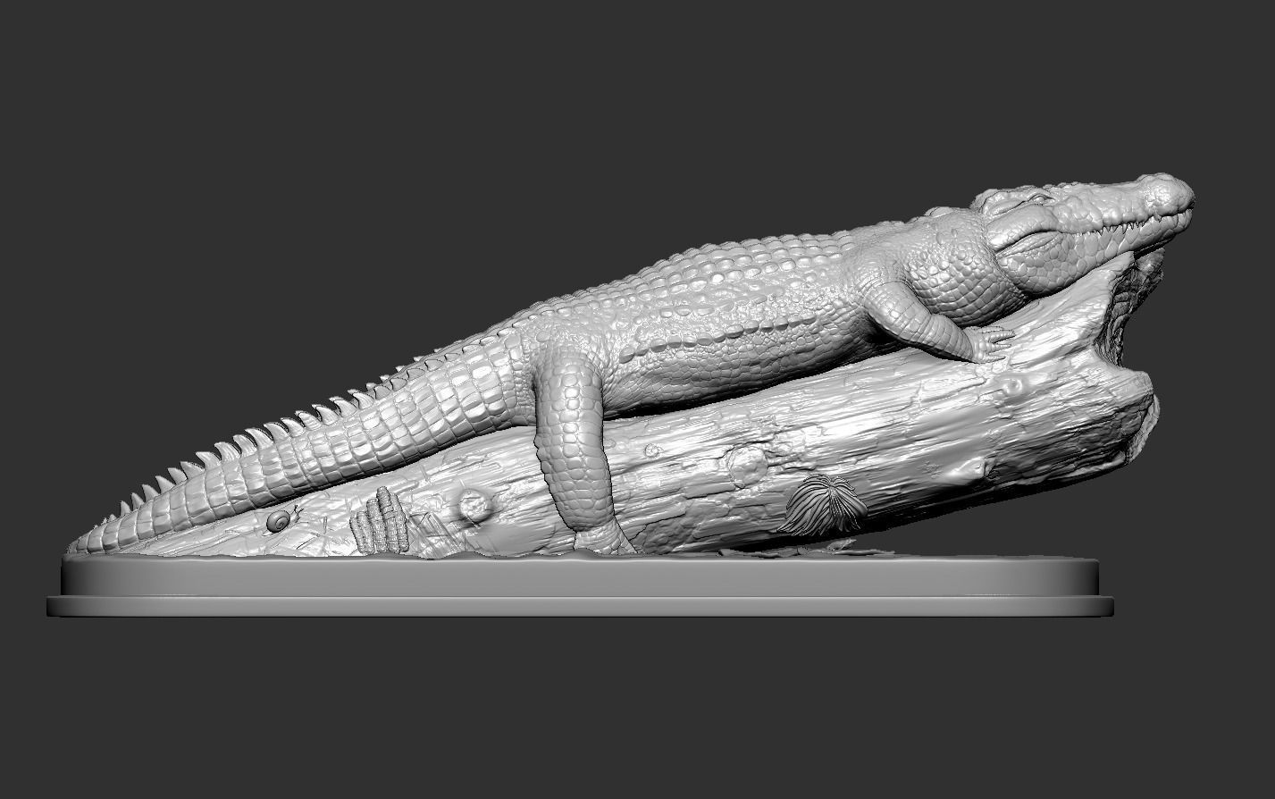 Crocodile in Tree 3D print model_13