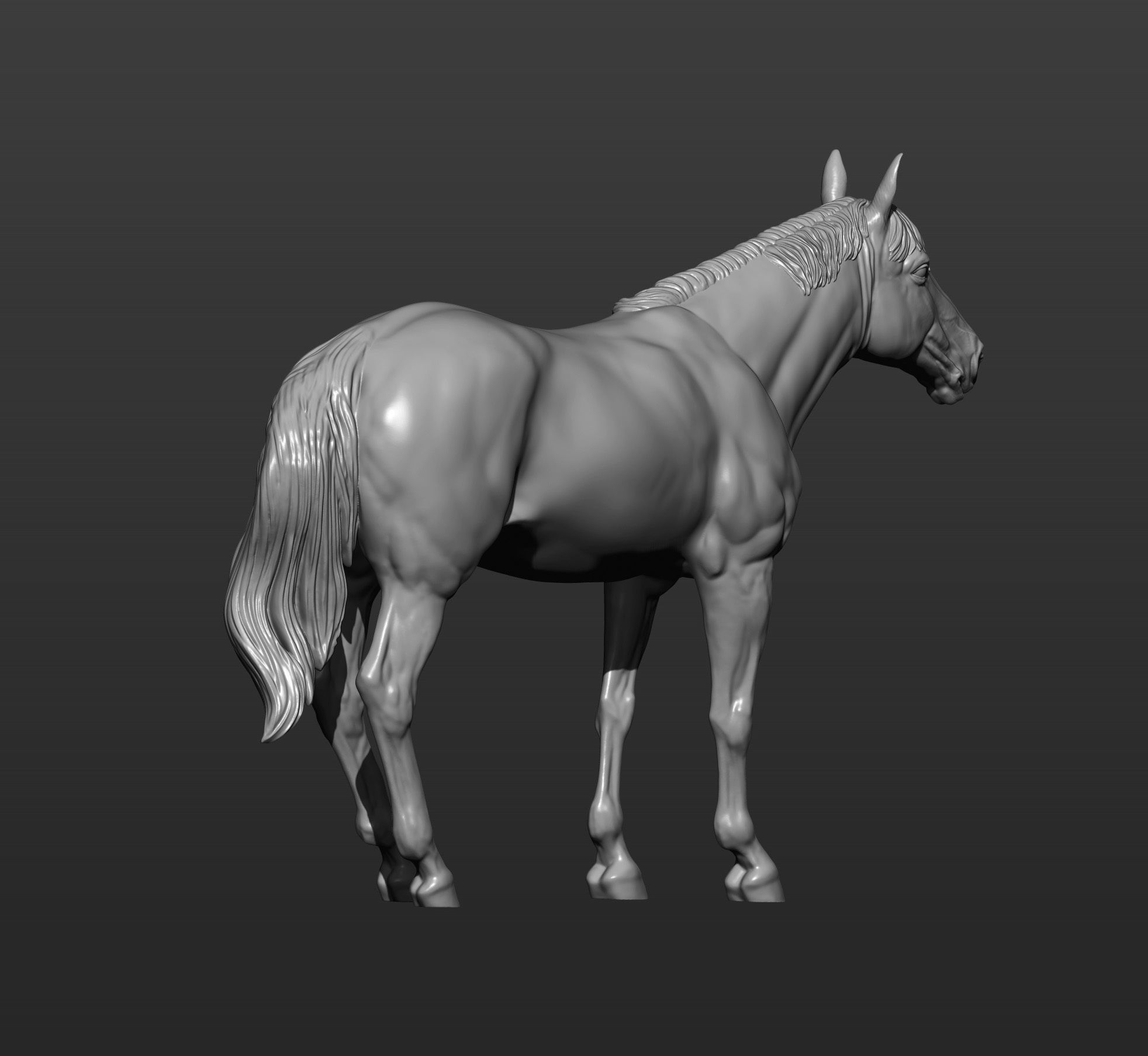 Horse 3D print model 3D print model_1