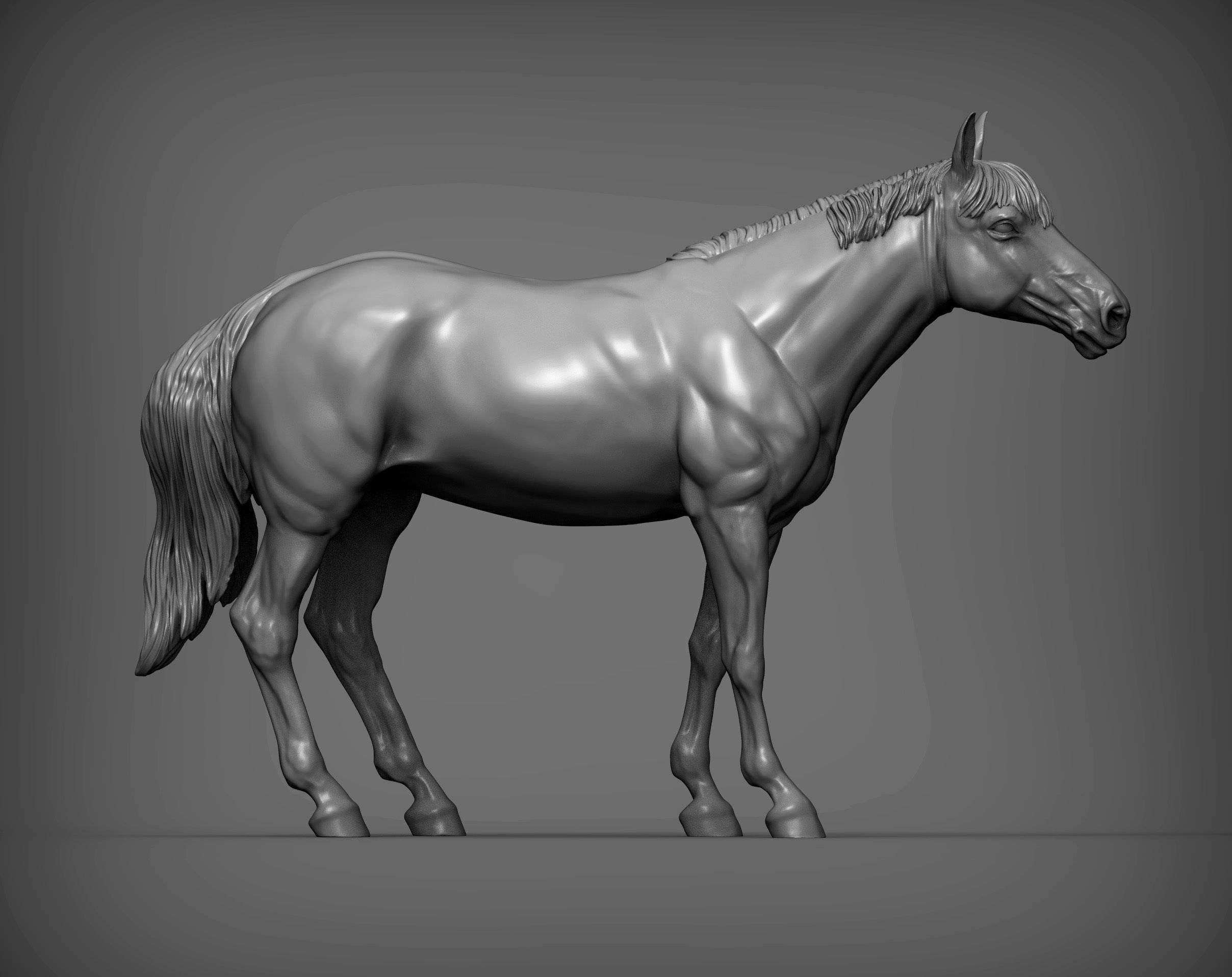 Horse 3D print model 3D print model_5