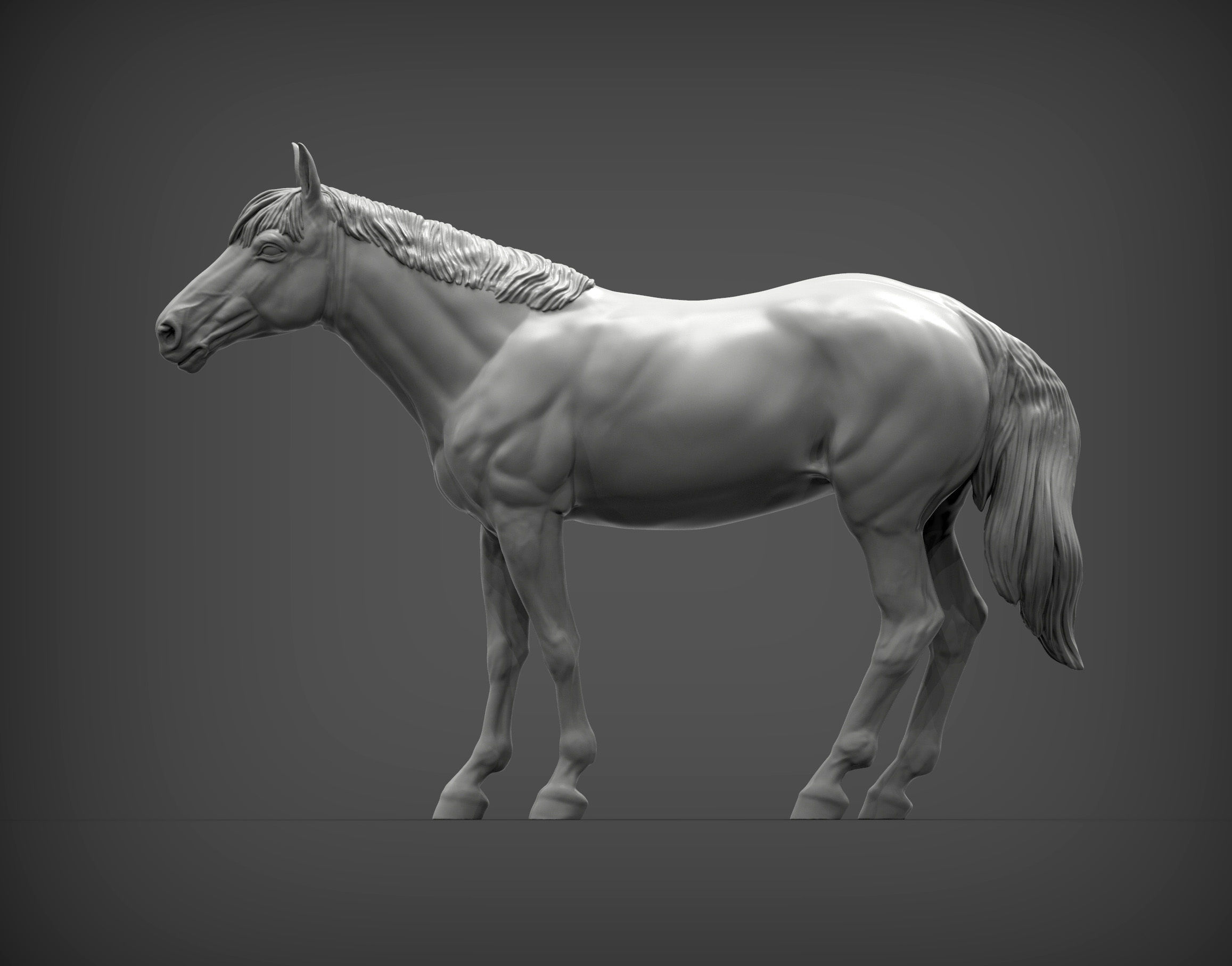 Horse 3D print model 3D print model_2