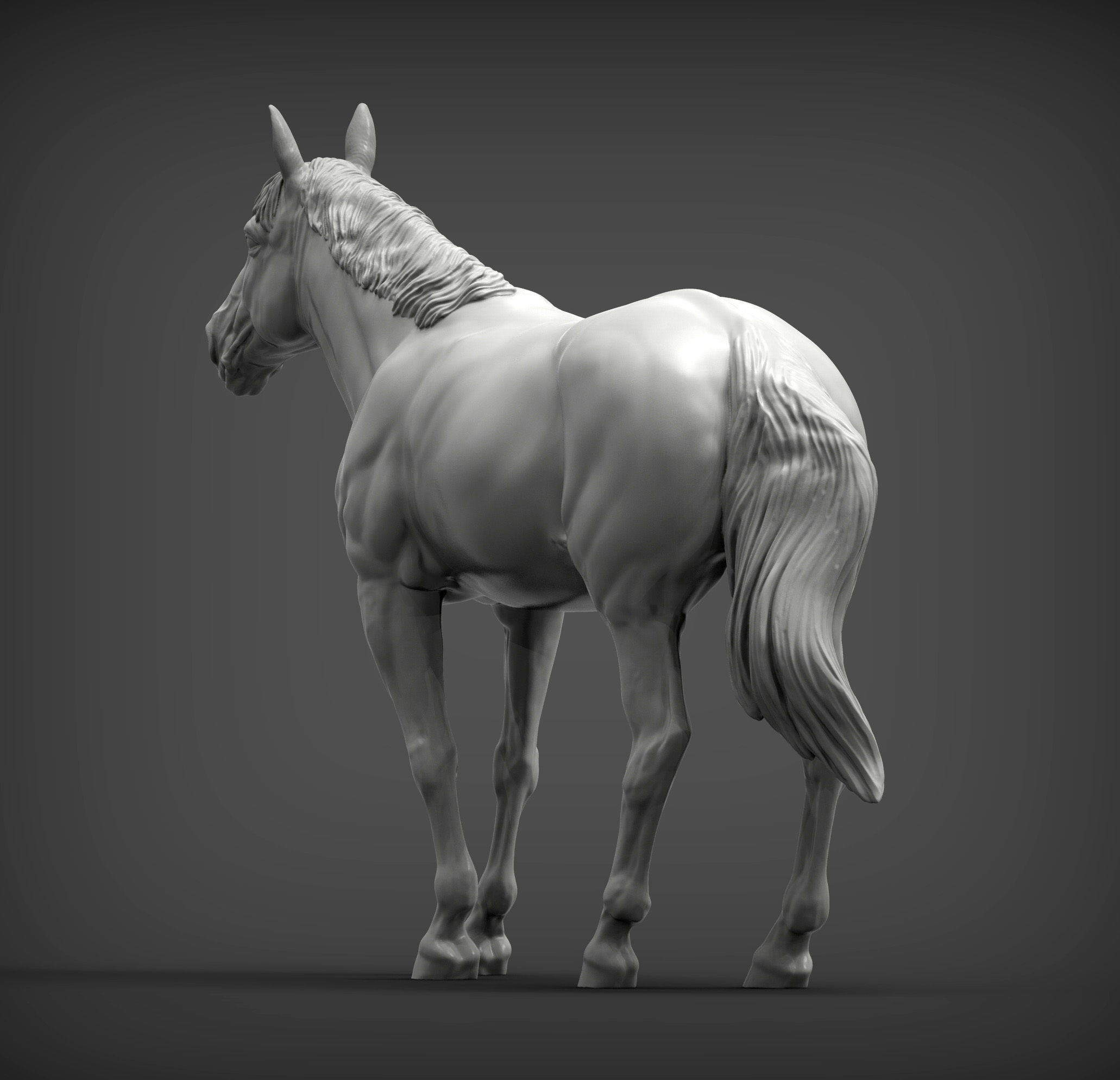 Horse 3D print model 3D print model_4