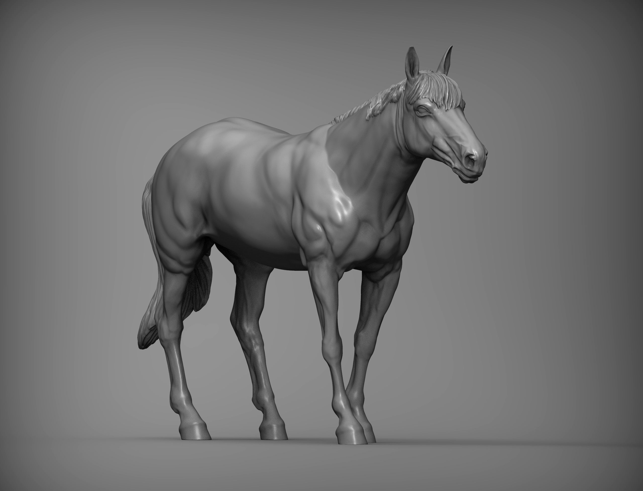 Horse 3D print model 3D print model_3