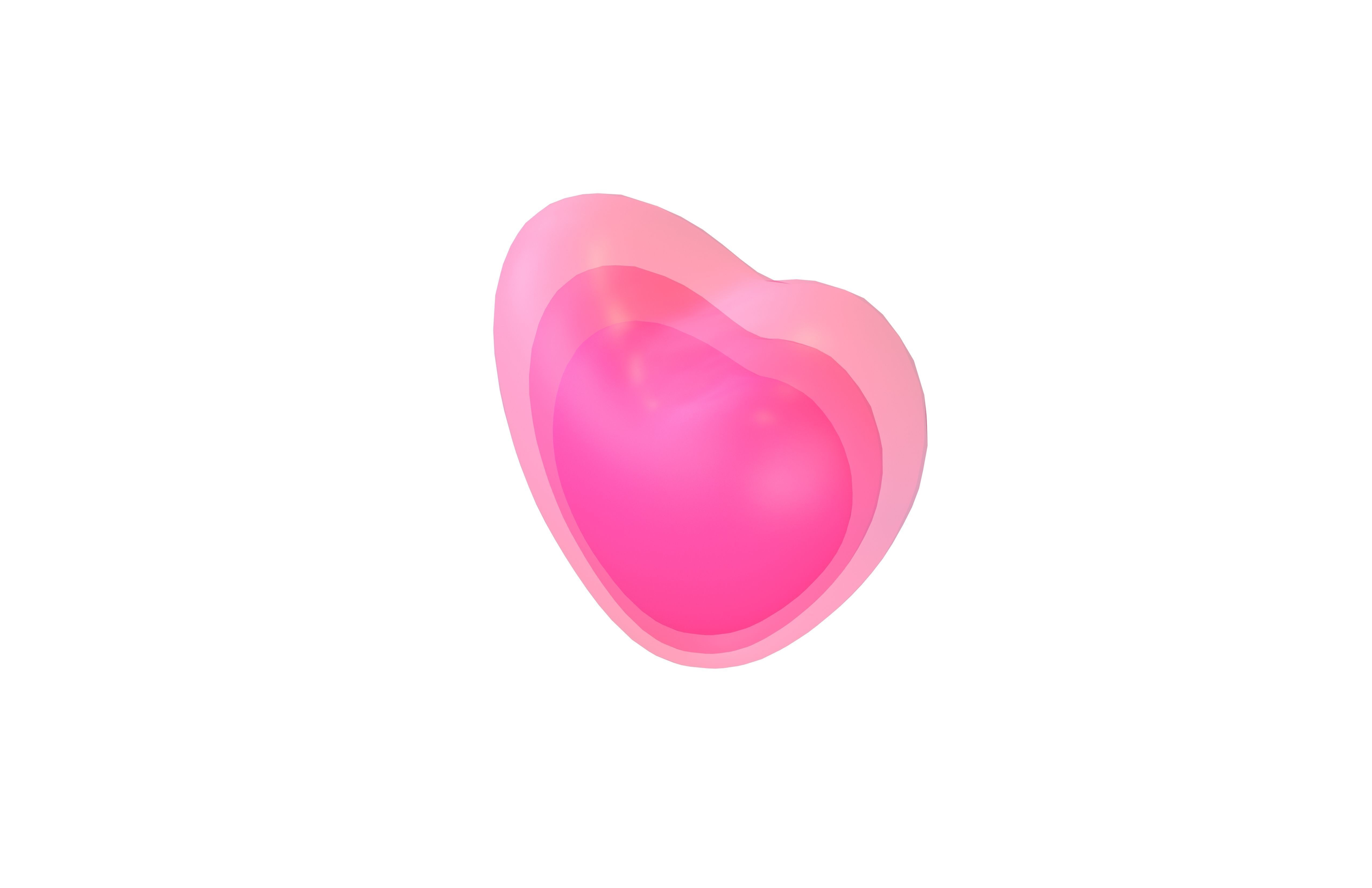 Growing Heart v1 001 Low-poly 3D model_2