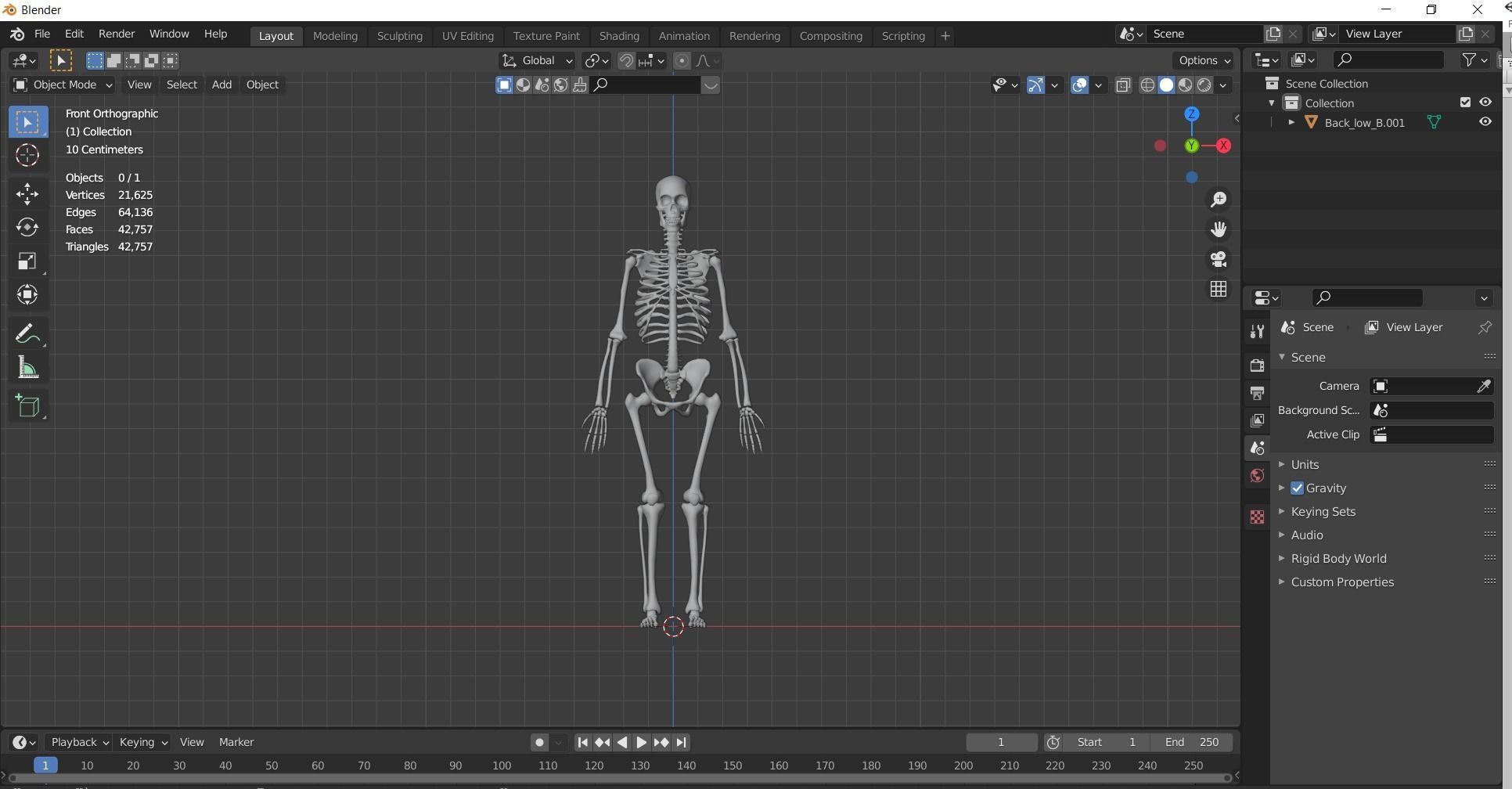 Human Skeleton  3D model_26