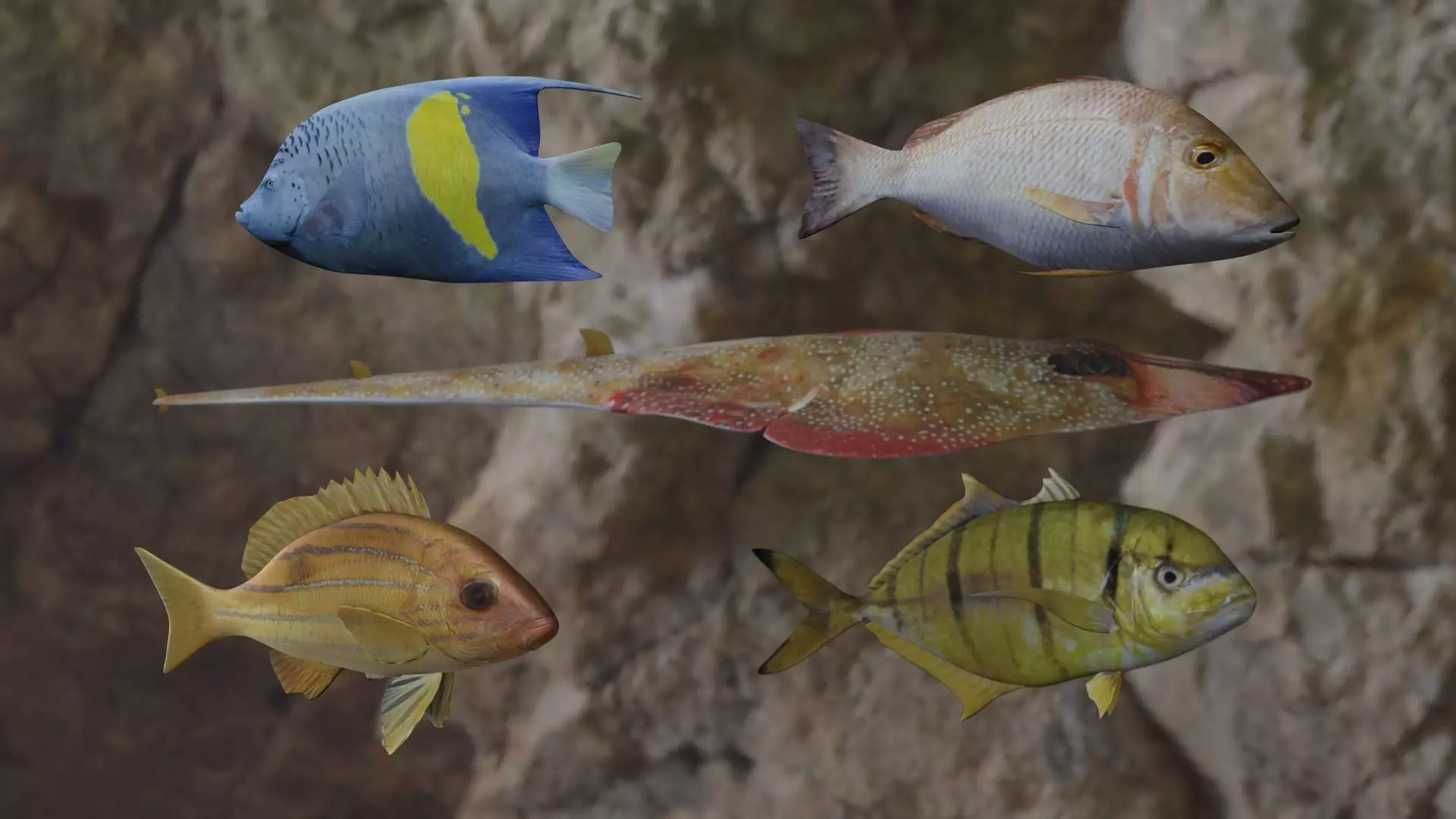 Fishes fish swimming in water 3D Model Pack