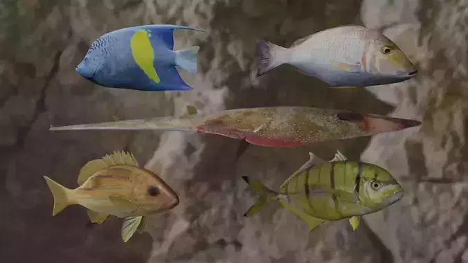 Fishes fish swimming in water 3D Model Collection