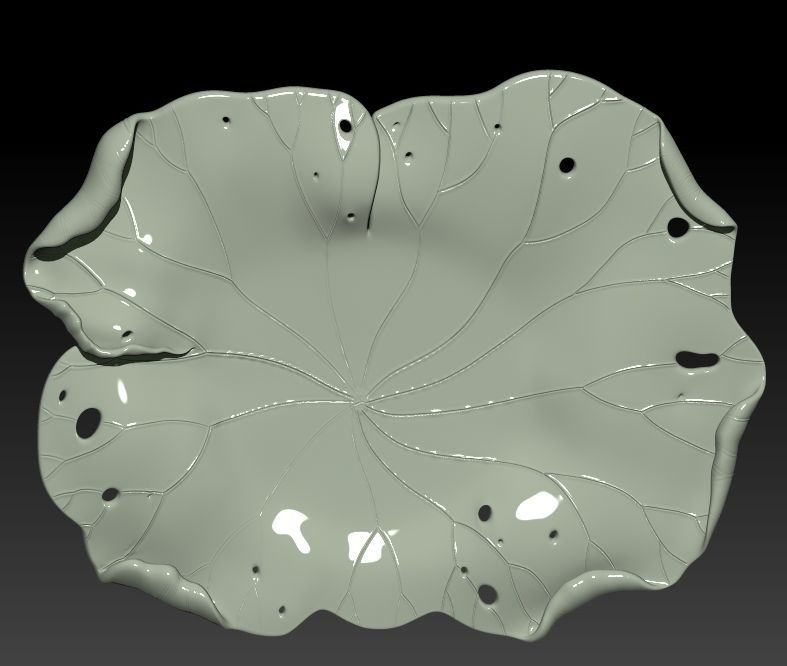DRIED LOTUS LEAF WITH CIRCLE AND RECTANGLE BASE 3D print model_1