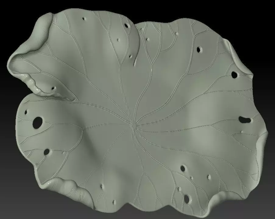 DRIED LOTUS LEAF WITH CIRCLE AND RECTANGLE BASE 3D print model_0