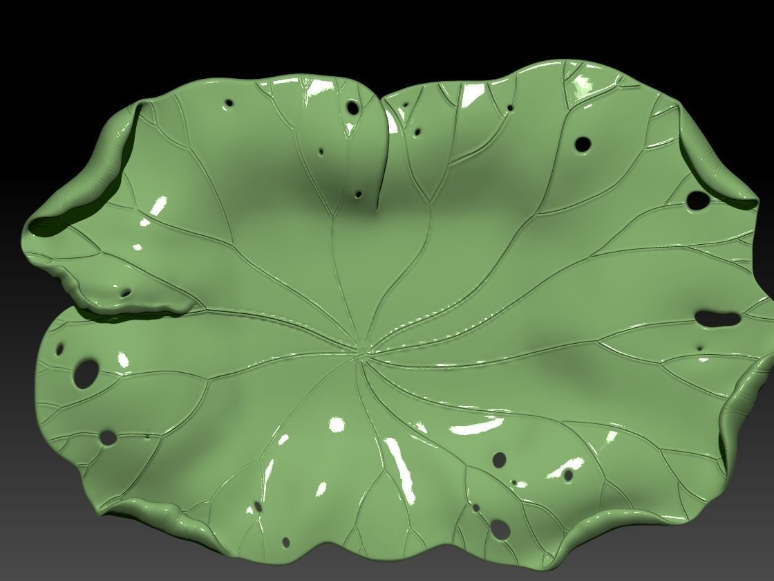 DRIED LOTUS LEAF WITH CIRCLE AND RECTANGLE BASE 3D print model_3