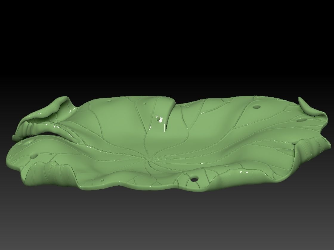 DRIED LOTUS LEAF WITH CIRCLE AND RECTANGLE BASE 3D print model_2